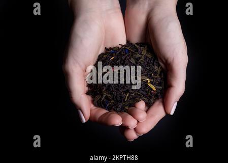Schöne weibliche Hände halten rohen, ungebrühten Tee und bieten ihn an, ihn zu probieren. Trockenes Teeblatt in der Hand. Tee mit Bergamottenzusätzen, isoliert auf schwarzem Hintergrund Stockfoto