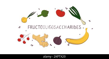 Fructooligosaccharides-containing food. Groups of healthy products containing vitamins and minerals. Set of fruits, vegetables, meats, fish and dairy Stock Vektor