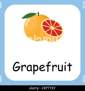 Grapefruit Clip Art mit Text, flaches Design. Erziehung für Kinder. Vektordarstellung Stock Vektor