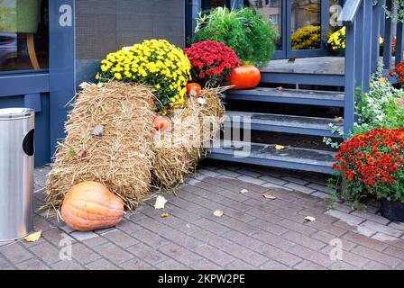 Bouquets in hellen Herbstfarben von gelben, roten und orangefarbenen Chrysanthemen schmücken die schwarzen hölzernen Eingangsstufen des Cafés zusammen mit Stroh und Kürbissen. Stockfoto