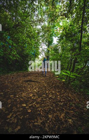 Beschreibung: Sportliche Frau mit Rucksackspaziergängen auf abenteuerlichem grünen Dschungelpfad entlang des Wasserkanals. Levada von Caldeirão Verde, Insel Madeira, Portuga Stockfoto