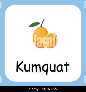 Kumquat Clip Art mit Text, flaches Design. Erziehung für Kinder. Vektordarstellung Stock Vektor