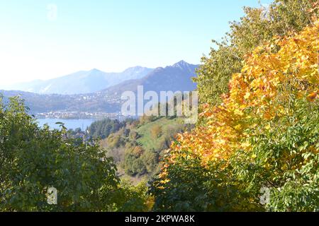 Wunderschöne Herbstlandschaft in den Bergen mit Bäumen im Vordergrund und vielfältigen Hügellinien. Unschärfe der Berge und des Sees im Hintergrund Stockfoto