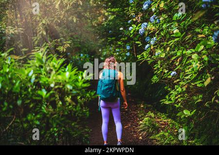 Beschreibung: Sportliche Frau mit Rucksack, die wunderschöne Blumen auf dem grünen Dschungelweg entlang des Wasserkanals bewundert. Levada von Caldeirão Verde, Insel Madeira Stockfoto