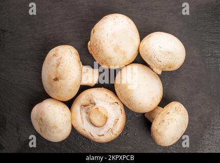 Mehrere ganze organische, frische Porcini-Pilze auf Schieferstein, Draufsicht. Stockfoto