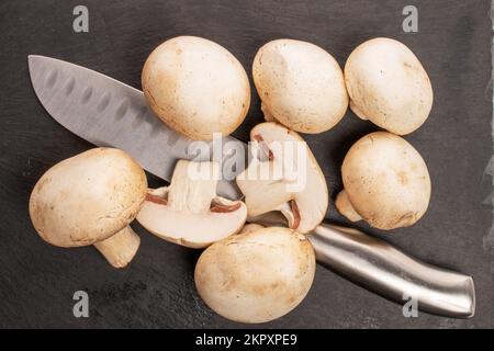 Mehrere frische, organische Porcini-Pilze mit Metallmesser auf Schieferstein, Draufsicht. Stockfoto