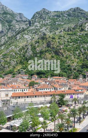 Blick aus der Vogelperspektive auf die Altstadt und die Berge, Kotor, Dalmatien, Montenegro Stockfoto