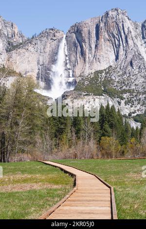 Yosemite Valley mit Holzsteg an der Promenade. Yosemite Falls im Hintergrund. Yosemite-Nationalpark, Kalifornien, USA Stockfoto