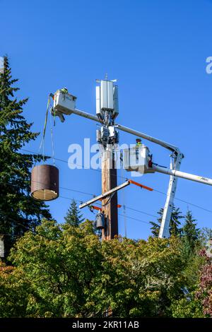 BELLEVUE, WA, USA – 30. SEPTEMBER 2022: Zwei Lineams sind in der Luft und installieren 5G, neue Technologie, drahtlose Kommunikation auf einem hölzernen Monopolturm Stockfoto