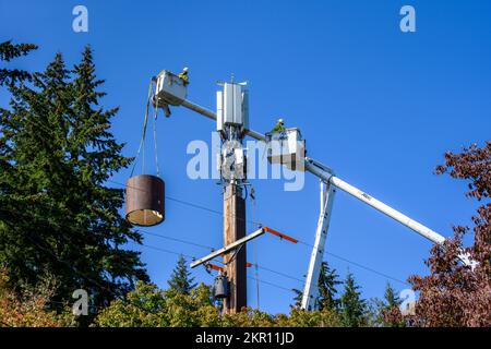 BELLEVUE, WA, USA – 30. SEPTEMBER 2022: Zwei Lineams sind in der Luft und installieren 5G, neue Technologie, drahtlose Kommunikation auf einem hölzernen Monopolturm Stockfoto