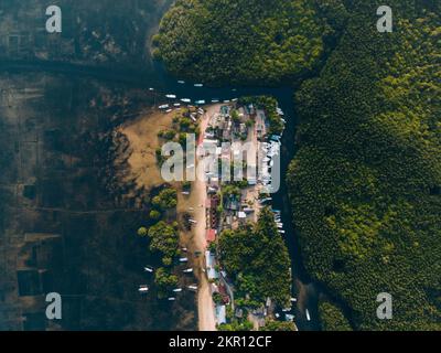 Blick aus der Vogelperspektive auf Mangrovenwälder, Lembongan, Bali Stockfoto