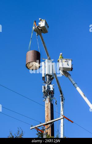 BELLEVUE, WA, USA – 30. SEPTEMBER 2022: Zwei Lineams sind in der Luft und installieren 5G, neue Technologie, drahtlose Kommunikation auf einem hölzernen Monopolturm Stockfoto