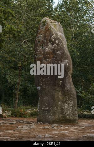 Geant du Manio Riesen-Megalith-Stein der Carnac-Steine, Bretagne, Frankreich Stockfoto