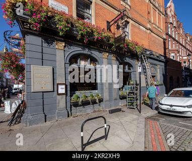 Der Blackbird Pub (öffentliches Haus) in Barkston Gardens und Earls Court Road, London, ist mit Wannen aus Blumen und Pflanzen dekoriert Stockfoto