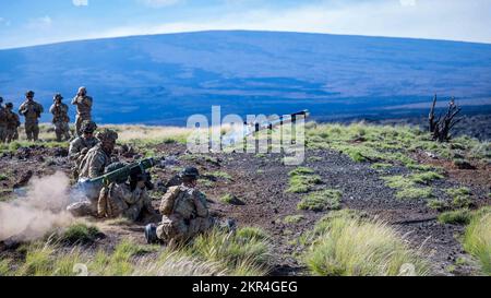 221107-N-XC372-2448 PŌHAKULOA SCHULUNGSBEREICH (7. NOVEMBER 2022) USA Soldaten des 3.. Bataillons, des 7.. Artillerie-Regiments, der 25.. Infanteriedivision Artillerie, der 25.. Infanteriedivision, feuern während einer Waffendemonstration im Joint Pacific Multinational Readiness Center (JPMRC) eine javelin-Schulterabwehrrakete ab. Hochrangige Joint-Force-Leiter nahmen an JPMRC-Einsätzen mit Service-Mitgliedern Teil, um die gemeinsame Interoperabilität aus erster Hand zu betrachten. Stockfoto