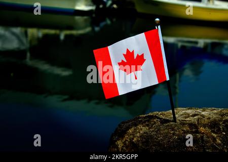Eine kleine kanadische Flagge auf einem Stück Treibholz, das am kanadischen Tag an einem Yachthafen auf Vancouver Island zurückgelassen wurde Stockfoto