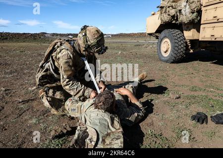 Ingenieursoldaten bilden das 84. Ingenieur-Bataillon, die 130. Ingenieur-Brigade, das 8. Theater Sustainment Command, engagierten die gegnerische Kraft und leistten erste Hilfe während des Joint Pacific Multinational Readiness Center 23. Stockfoto