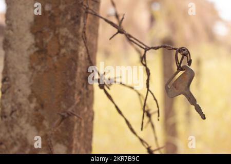 Infrarotbild des alten Stahlschlüssels auf der rostigen Bardendrähte. Stockfoto