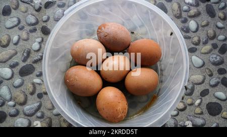 Nahaufnahme faules Hühnerei ungesunde Lebensmittel verursachen Infektionskrankheit Stockfoto