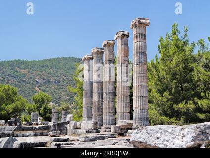 Priene, Söke, Aydın, Türkei, September 2018: Ruinen der antiken Stadt Priene, Ionische Säulen des Tempels der Athena Polias in Priene. Stockfoto