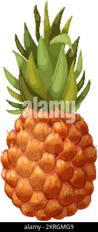 Vektordarstellung des tropischen Cartoons mit Ananas Stock Vektor