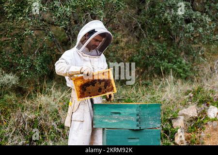 Seitenansicht des männlichen Imkers im Schutzkostüm, der Honig aus Bienenstöcken in Bienenstöcken am Sommertag erntet Stockfoto