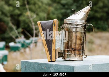 Rostige Bienenraucher auf dem Bienenstock auf verschwommenem Hintergrund der Bienenstöcke Stockfoto