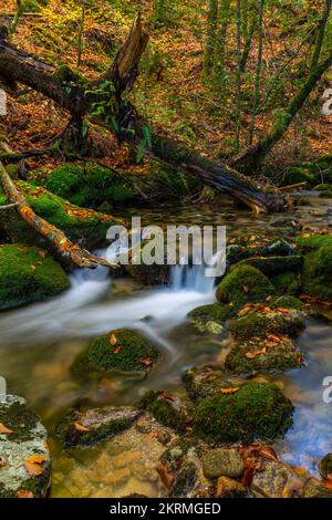 Wasserfall im portugiesischen Nationalpark Geres, im Norden des Landes Stockfoto