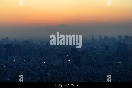 Blick auf Tokio mit Fuji bei Sonnenuntergang. Tokio, Japan. Stockfoto