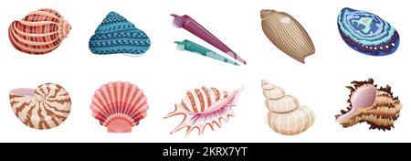 Muscheln setzen Vektordarstellung. Sammlung tropischer Meerestiere mit Meeres- und Meeresmuscheln in verschiedenen Farben, Mustern und Formen, isoliert weiß. Sommerurlaub, Unterwasserleben Konzept Stock Vektor