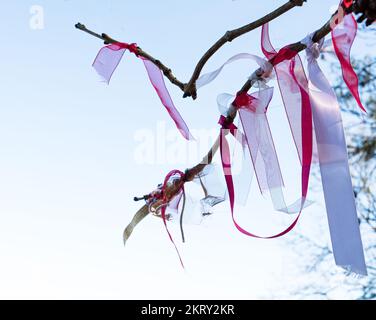 Wicca-Geschenke/-Angebote in Form von Federn, farbigen Bändern und Maisohren, die an die Bäume in der Nähe der jungsteinzeitlichen Rollright Stones in Oxfordshire gebunden sind. Stockfoto