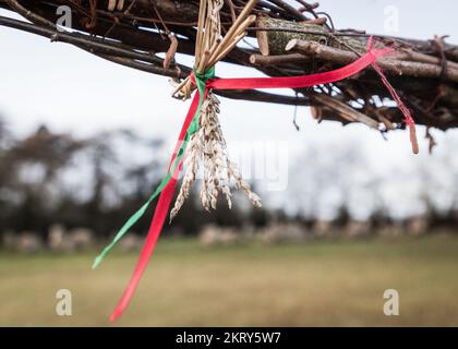 Wicca-Geschenke/-Angebote in Form von Federn, farbigen Bändern und Maisohren, die an die Bäume in der Nähe der jungsteinzeitlichen Rollright Stones in Oxfordshire gebunden sind. Stockfoto