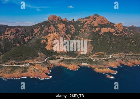 Unberührter, gesunder Hartkorallengarten am flachen Korallenriff im Indo-pazifik Stockfoto