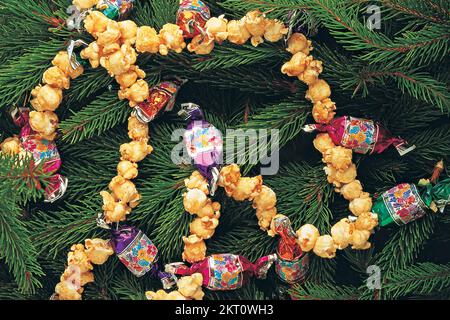 Girlande aus Süßigkeiten und Popcorn auf dem Baum Stockfoto