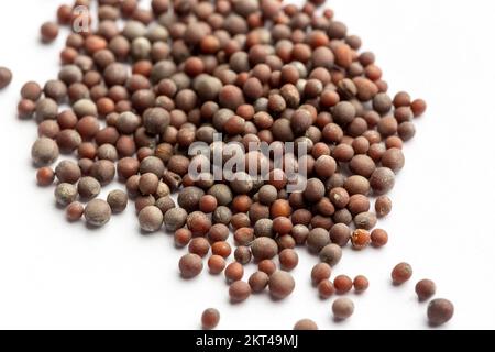 Nahaufnahme von Black Senf Seeds Stockfoto