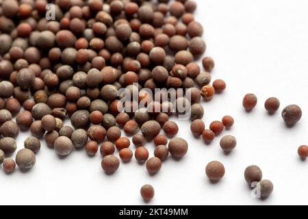 Nahaufnahme von Black Senf Seeds Stockfoto