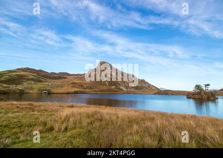 Cregennan Lakes, die von Bryn Brith, Snowdonia National Park, Gwynedd, Nordwales umgeben sind Stockfoto