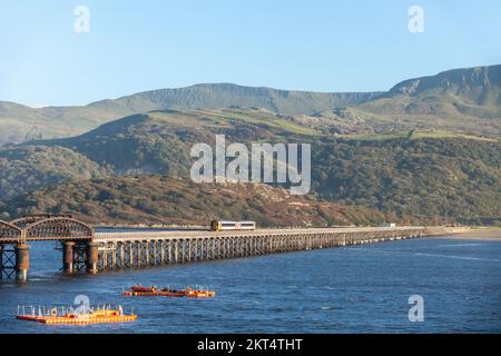 Ein Zug, der die Barmouth-Mautbrücke über den Afon Mawddach-Fluss, Barmouth, Gwynedd, Wales, Großbritannien, überquert Stockfoto