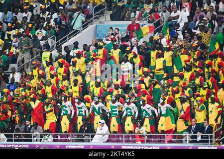 Doha, Catar. 29.. November 2022. Senegalesische Fans während eines Spiels zwischen Ecuador und Senegal, das für die Gruppenphase der Weltmeisterschaft gilt und im Khalifa International Stadium in Doha, Katar, stattfindet. Kredit: Richard Callis/FotoArena/Alamy Live News Stockfoto