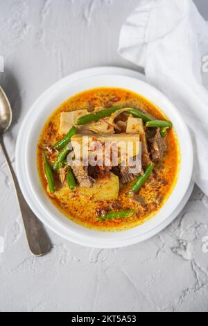 Sayur Nangka oder Gulai Nangka sind indonesische Gerichte aus jungen Jackfrüchten, die in Kokosmilch und Langbohnen und Fleisch gekocht werden Stockfoto