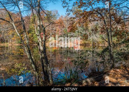 Auf einem Pfad im Schatten mit Blick auf die Herbstfarben, die sich an einem hellen, klaren Herbsttag auf dem See spiegeln Stockfoto