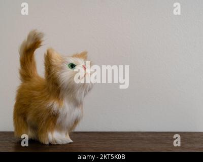 Süßes Ingwer und weißes Teddykätzchen oder weiche Spielzeugkatze mit grünen Augen, die auf hellem Hintergrund isoliert nach oben schauen Stockfoto
