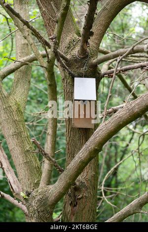 Italien, Lombardei, Vogelfutterhaus aus Holz, das an einem Baum hängend ist Stockfoto