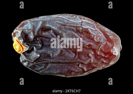 Phoenix dactylifera, Date palm, dried date, echte Dattelpalme, Datteln, Nahaufnahme, getrocknete Früchte Stockfoto