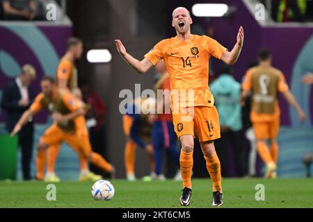 Al Chaur, Katar. 29.. November 2022. Fußball: Weltmeisterschaft, Niederlande – Katar, Vorrunde, Gruppe A, Spieltag 3, Al-Bait Stadium in Al-Chaur, Davy Klaassen der Niederlande Gesten während des Spiels. Kredit: Robert Michael/dpa/Alamy Live News Stockfoto