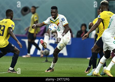 Doha, Catar. 29.. November 2022. ICH Sarr von Senegal während des Spiels zwischen Ecuador und Senegal, gültig für die Gruppenphase der Weltmeisterschaft, die im Khalifa International Stadium in Doha, Katar, stattfindet. Kredit: Richard Callis/FotoArena/Alamy Live News Stockfoto