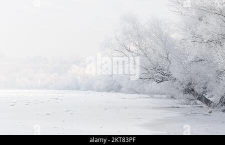 Gefrorene, schneebedeckte Ufer der Donau unterhalb der Festung Petrovaradin, Vojvodina, Novi Sad, Petrovaradin, Serbien. Stockfoto