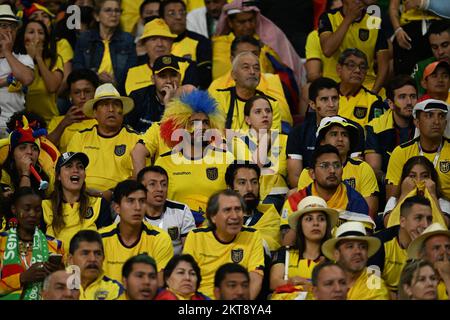 Doha, Catar. 29.. November 2022. Ecuador-Fans während eines Spiels zwischen Ecuador und Senegal, das für die Gruppenphase der Weltmeisterschaft gilt und im Khalifa International Stadium in Doha, Katar, stattfindet. Kredit: Richard Callis/FotoArena/Alamy Live News Stockfoto