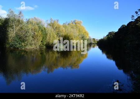 Herbstfarben spiegeln sich an einem Fluss Nore, Kilkenny, Irland Stockfoto