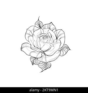Detaillierte Skizze eines Rosenblüten-Tattoo. Dekorative Elemente für Tätowierungen, Grußkarten, Hochzeitseinladungen mit Gravur. Stockfoto